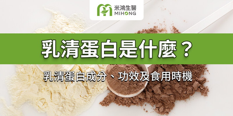 乳清蛋白是什麼？乳清蛋白成分、功效及食用時機