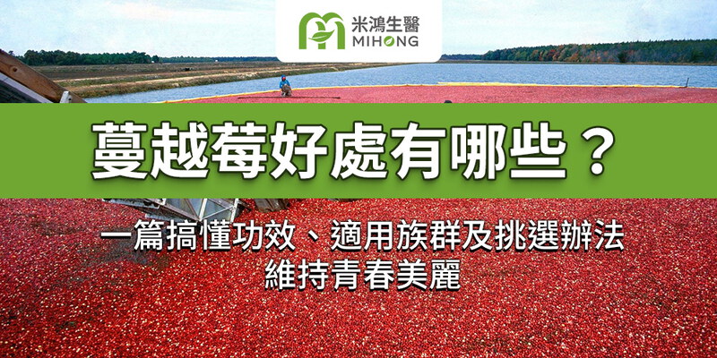 蔓越莓好處有哪些？一篇搞懂功效、適用族群及挑選辦法，維持青春美麗